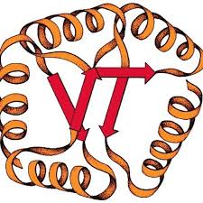 Virginia Tech Department of Biochemistry